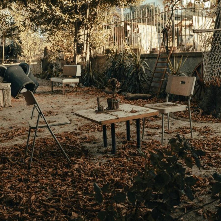 Jardin à l'abandon sans entretien sans le gardiennage de maison
